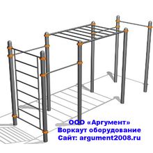 Шведская стенка турник рукоход для воркаута ВО-109