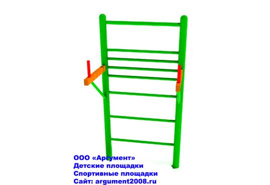 Брусья + шведская стенка БГ-04